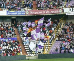 Puzzle de Bandera del Real Valladolid C. F.