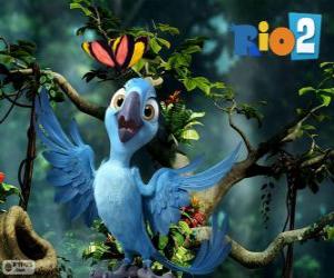 Puzzle de Bia, la hija pequeña de Blu y Jewel