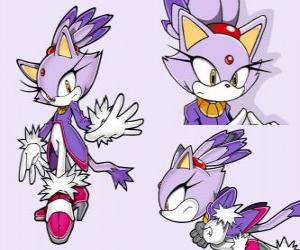 Puzzle de Blaze the Cat, una princesa y una de las amigas de Sonic