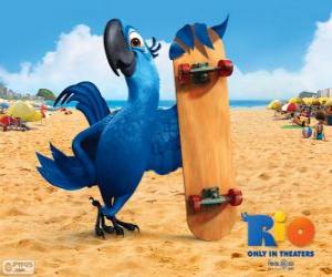 Puzzle de Blu es un divertido guacamayo y el protagonista principal de la película Rio