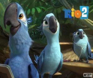 Puzzle de Blu y Jewel con su hija Carla