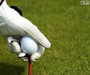 Puzzle de Bola de golf y tee