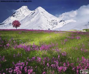 Puzzle de Bonito paisaje de los alpes