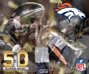 Puzzle de Broncos, campeón Super Bowl 2016