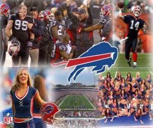 Puzzle de Buffalo Bills