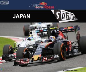 Puzzle de C. Sainz Jr., GP Japón 2016