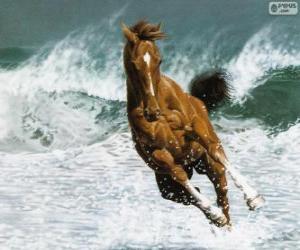 Puzzle de Caballo corriendo entre las olas