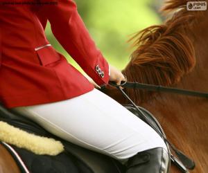 Puzzle de Caballo y jinete