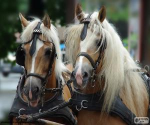 Puzzle de Caballos de tiro