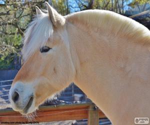 Puzzle de Cabeza de caballo beig