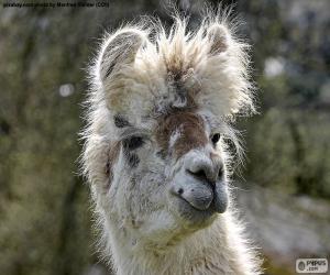 Puzzle de Cabeza de llama