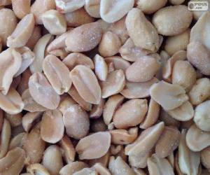 Puzzle de Cacahuetes salados