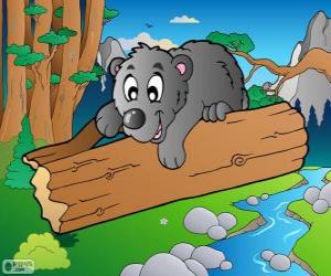 Puzzle de Cachorro de oso