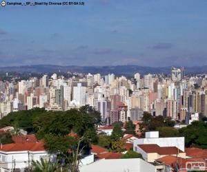 Puzzle de Campinas, Brasil