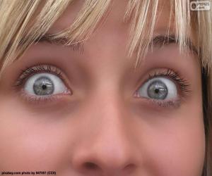 Puzzle de Cara ojos claros