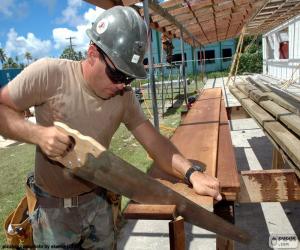 Puzzle de Carpintero