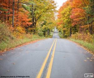 Puzzle de Carretera en otoño