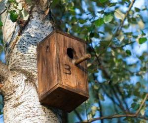 Puzzle de Casita de madera para los pájaros en primavera