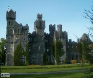 Puzzle de Castillo de Ashford, Irlanda