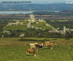 Puzzle de Castillo de Corfe, Inglaterra