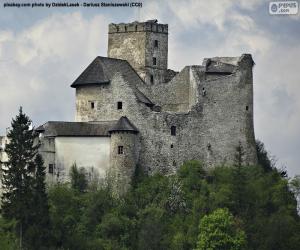 Puzzle de Castillo de Niedzica