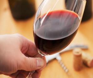 Puzzle de Cata de vinos