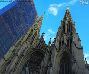 Puzzle de Catedral de San Patricio, Nueva York