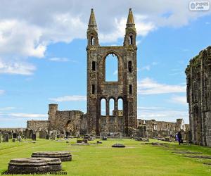 Puzzle de Catedral de St. Andrews, Escocia