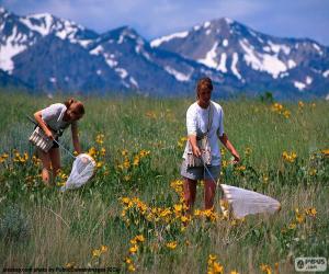 Puzzle de Cazando mariposas