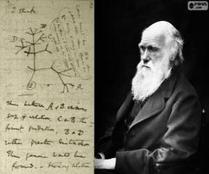 Puzzle de Charles Darwin (1809 - 1882), biólogo británico