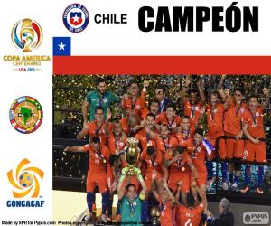 Puzzle de Chile campeón C. América 16