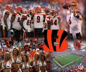 Puzzle de Cincinnati Bengals