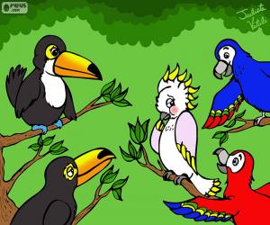 Puzzle de Cinco pájaros de Julieta Vitali