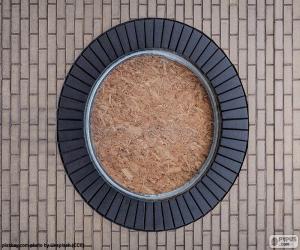 Puzzle de Circunferencia