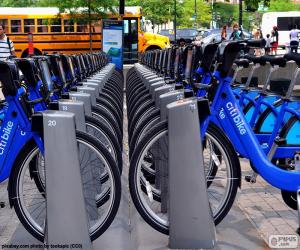 Puzzle de Citi Bike, Nueva York