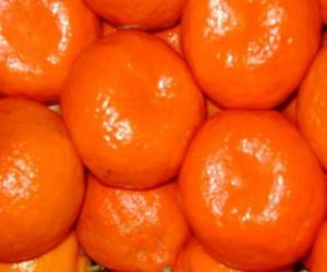 Puzzle de Clamentinas frutas frescas