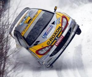 Puzzle de Coche de Rally sobre la nieve
