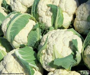Puzzle de Coliflor