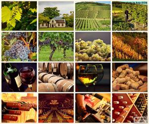 Puzzle de Collage del vino