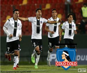 Puzzle de Colo-Colo, Apertura 2015