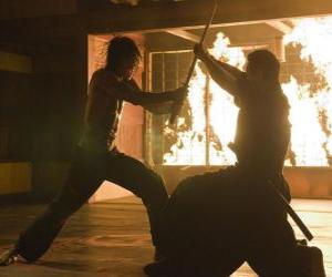 Puzzle de Combate ninja