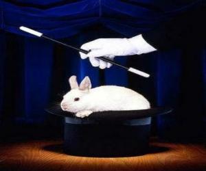 Puzzle de Conejito saliendo del sombrero de un mago