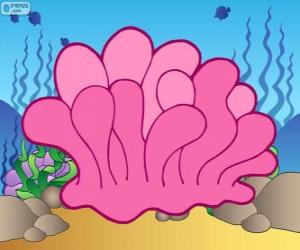 Puzzle de Coral