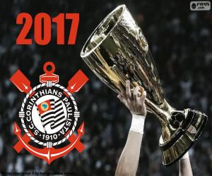 Puzzle de Corinthians, Brasileirão 2017