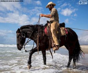 Puzzle de Cowboy junto al mar