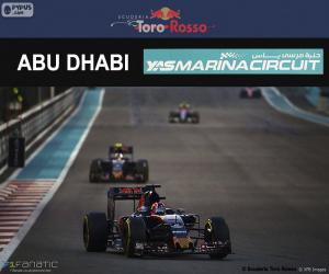 Puzzle de D. Kvyat, GP Abu Dhabi 2016