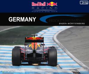 Puzzle de D. Ricciardo GP Alemania 16