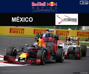 Puzzle de D. Ricciardo GP México 2016