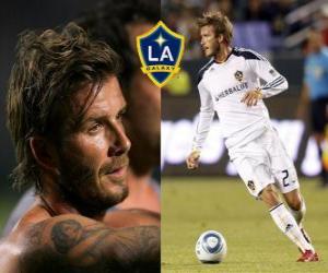 Puzzle de David Beckham es un futbolista inglés. Actualmente juega en el LA Galaxy. 