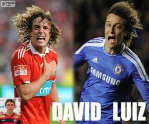 Puzzle de David Luiz
